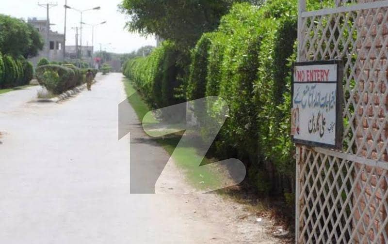 علی گارڈن جھنگ میں 2 کنال رہائشی پلاٹ 1.8 کروڑ میں برائے فروخت۔