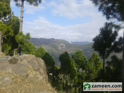 Residential Plot For Sale Residential Plot For Sale