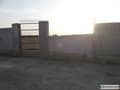 1 1