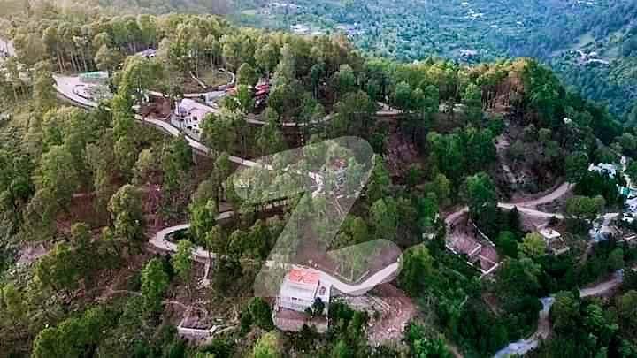 Murree Resorts - Plot 5 Marla Available With Immediate Possession In Snow Shower Area - Patriata - Murree By Asco Properties Islamabad