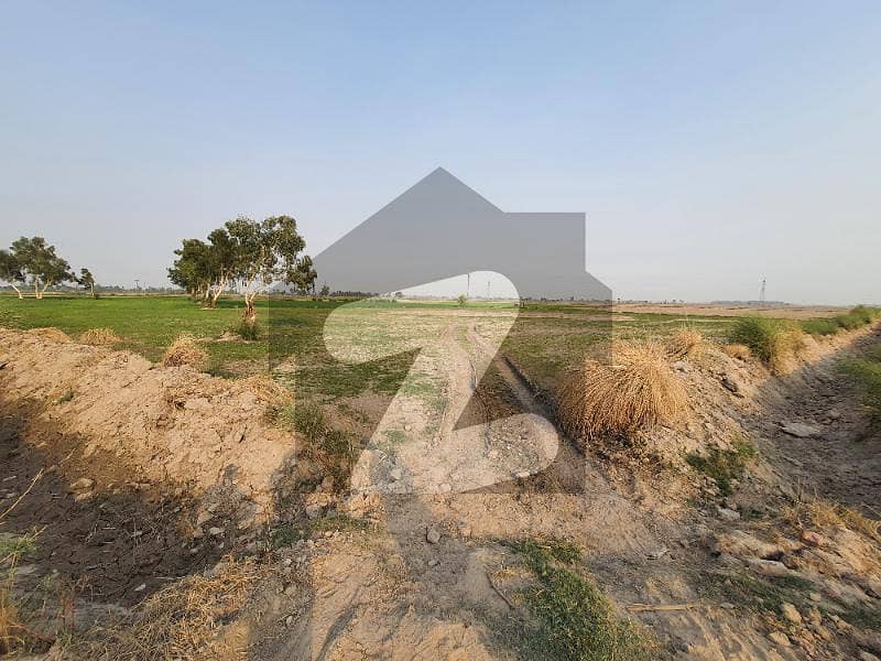 50 Acre For Sale On Old Narowal Road Ideal Location