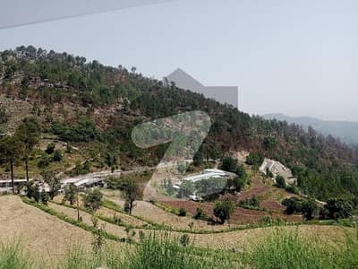 Get In Touch Now To Buy A 2025 Square Feet Commercial Plot In Pir Sohawa Road