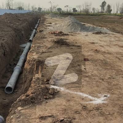 اسلام پورہ لاہور میں 20 کنال زرعی زمین 4.25 کروڑ میں برائے فروخت۔