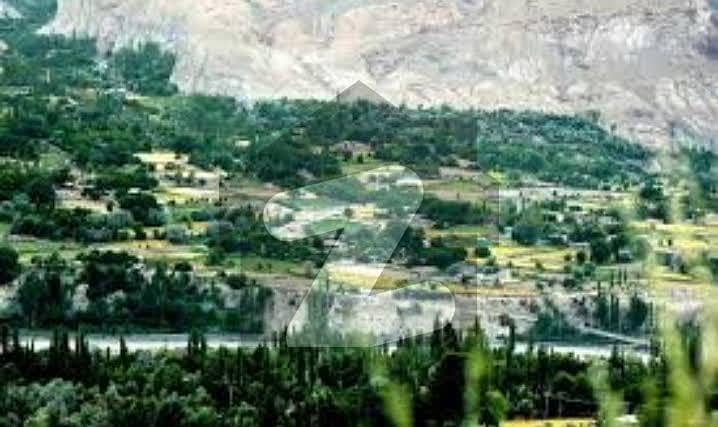 9 Kanal Resort Guest House Tourist Point Land For Sale Danyoor Gilgit Baltistan