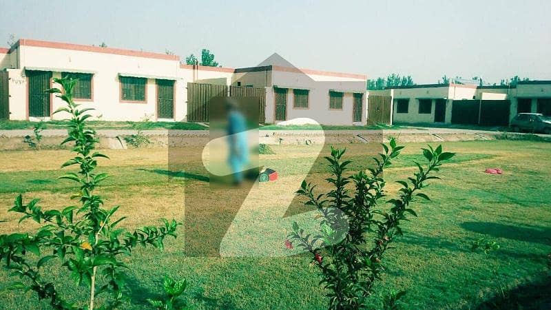 صفیا هومز ورسک روڈ پشاور میں 3 کمروں کا 3 مرلہ مکان 45 لاکھ میں برائے فروخت۔