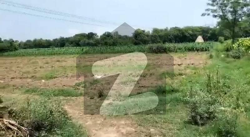 A Stunning Commercial Plot Is Up For Grabs In Chota Lahor Chota Lahor