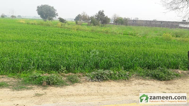 12 Acre Agriculture Land 4 Sale Off Burki Road Near Dha Phase 7 Cca 4