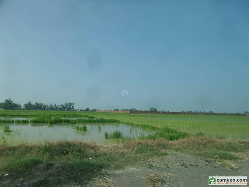 Agricultural Land For Sale