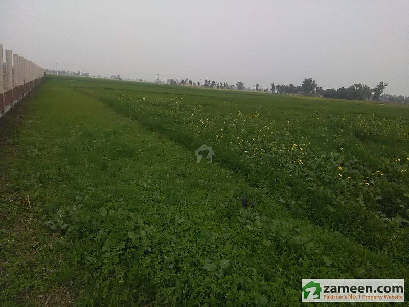 14 Acre Agricultural Land For Sale Off Burki Road Near DHA Phase 7 CCA 4 Commercial