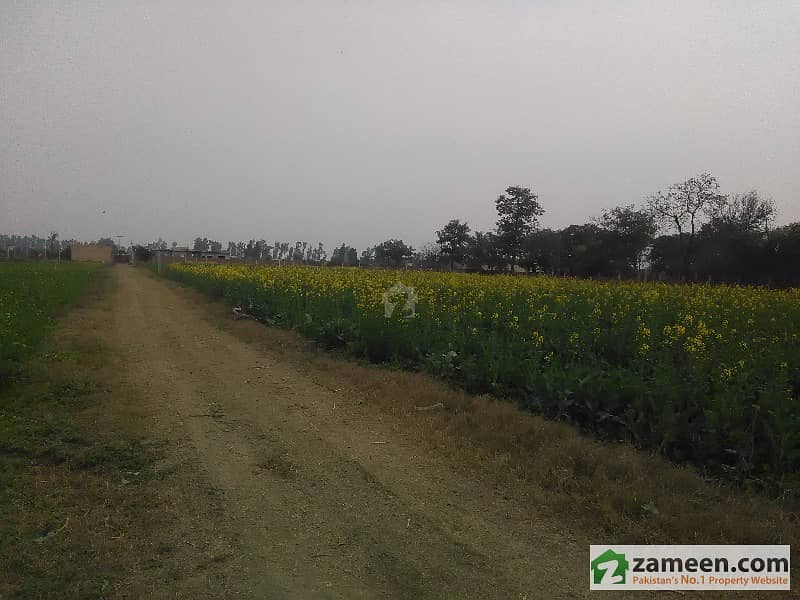 8 Kand Land For Sale On Prime Location On Burki Road