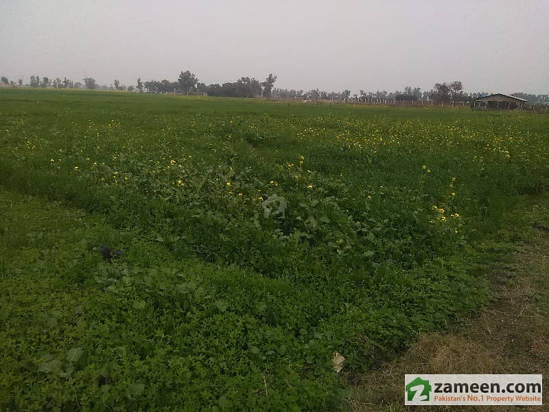 25 acre agricultural land  4 sale off burki road hot location