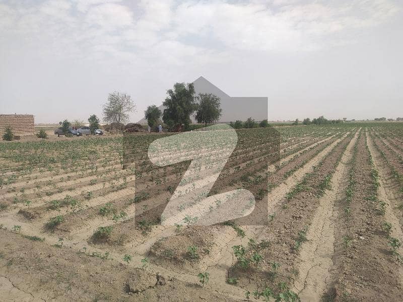 Agricultural Land For Sale In Mandi Yazman Mandi Yazman, Bahawalpur