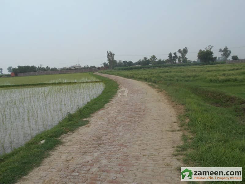 Agriculrural Land For Sale In Burki Road