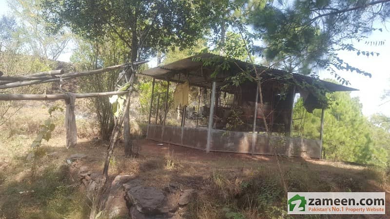 A Big Farm House 100 Kanal For Sale On Angoori Road