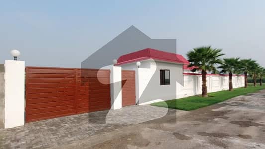 Looking For A Farm House In Lahore