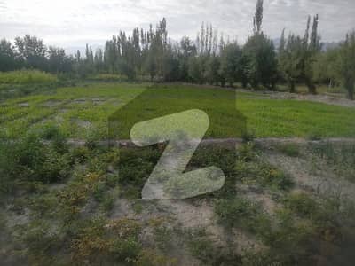 Buy 180000 Square Feet Agricultural Land At Highly Affordable Price