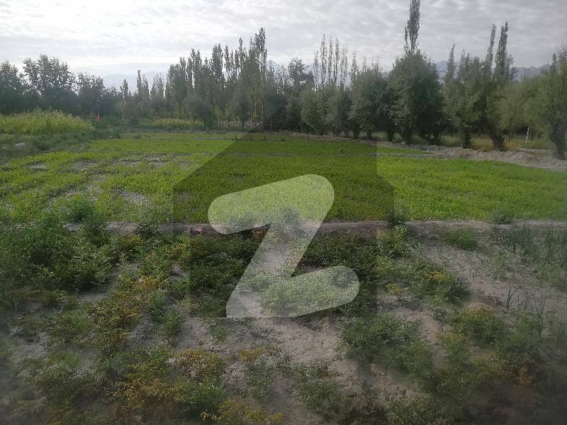 Buy 180000 Square Feet Agricultural Land At Highly Affordable Price