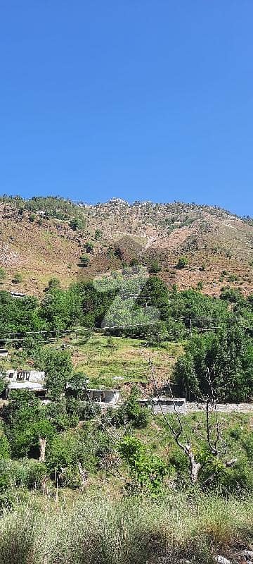ایبٹ آباد روڈ مری میں 1 کنال رہائشی پلاٹ 2 لاکھ میں برائے فروخت۔