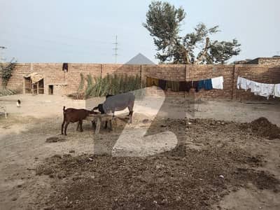 A Farm House For Cattle And Animals