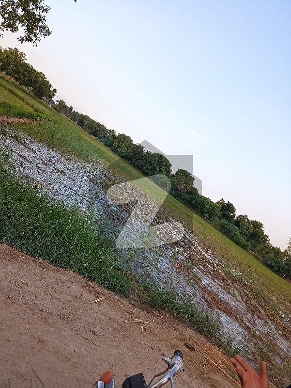 ادرز ڈیرہ اسماعیل خان میں 111 کنال زرعی زمین 2.5 کروڑ میں برائے فروخت۔