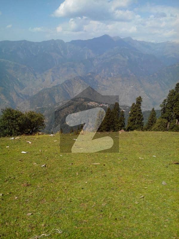 1 Kanal Plot For Sale In Nathiagali Abbottabad