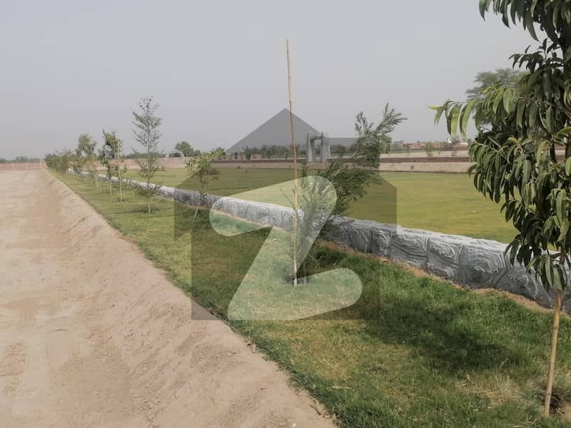 پیراڈائز ویلی ہاؤسنگ سکیم شیخ زید روڈ رحیم یار خان میں 5 مرلہ رہائشی پلاٹ 18 لاکھ میں برائے فروخت۔