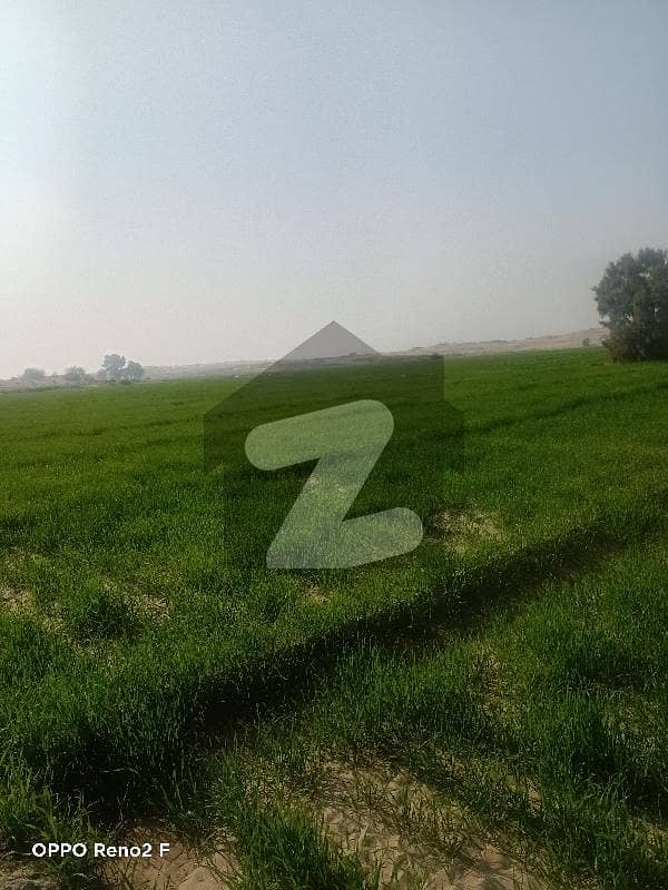 200 kanal agriculture LAND Pathan hotel HEAD MUHAMMAD WALA 200 kanal agriculture LAND Pathan hotel HEAD MUHAMMAD WALA