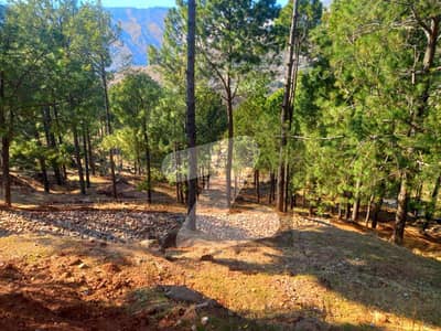Mountain Views And Good Location Near To Mall Road