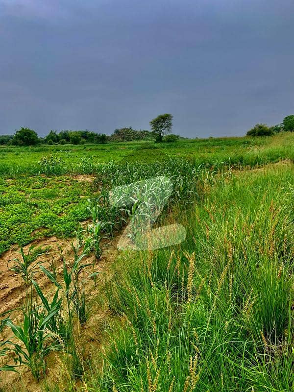 164 Kanal Nahri Raqba District Attock