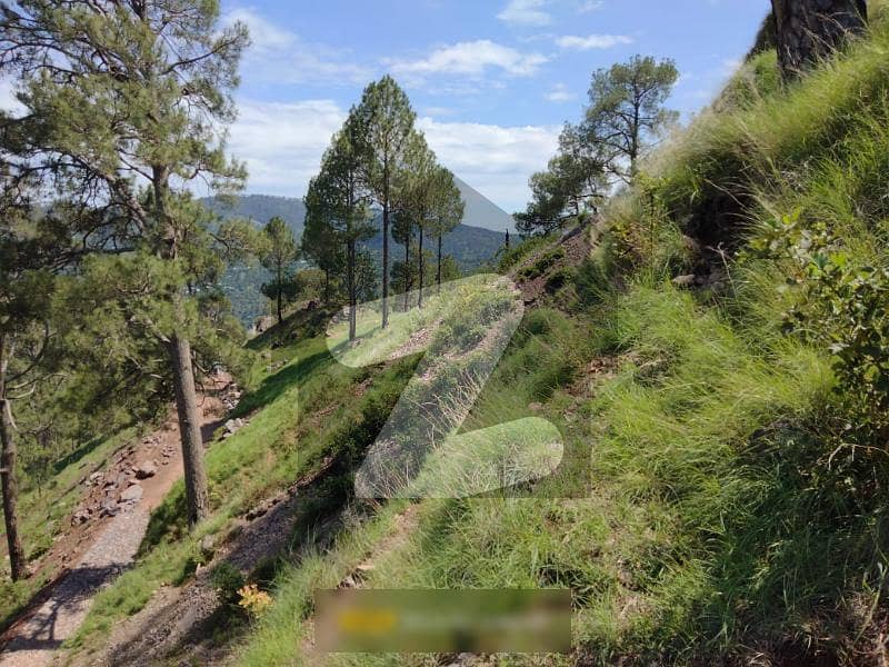 Get In Touch Now To Buy A 2025 Square Feet Residential Plot In Murree