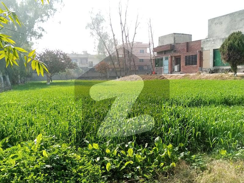11 Kanal Luxury Farm House Available For Rent Long Term At Simly Dam Road