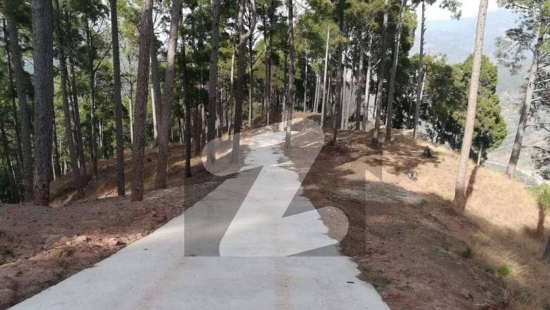 Buy Plot with Beautiful views of the lush green Murree Mountains