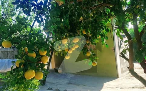 6 Kanal Farmhouse Plot Available For Sale At Adyala Road Rawalpindi