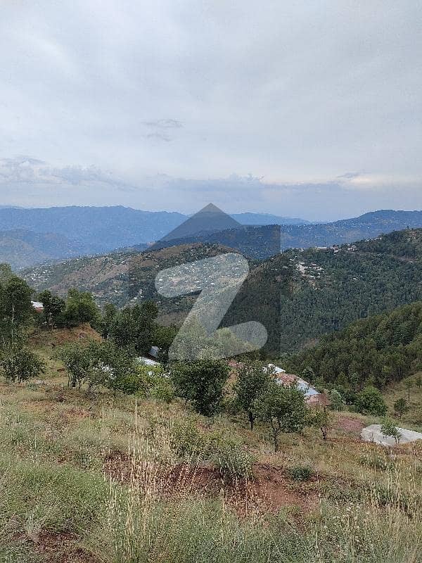 Book A Agricultural Land Of 450000 Square Feet In Murree Expressway Murree Expressway