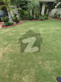 32 