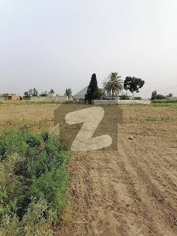 Ready To Buy A Residential Plot In Shahderi Shahderi