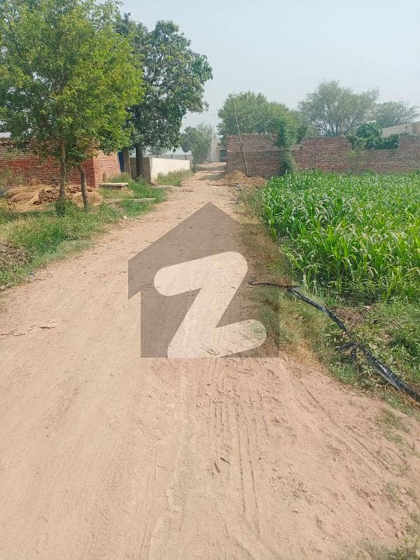 CHEAPEST PRICE 8 KANAL AGRICULTURE LAND AVAILABLE FOR SALE IN GREEN COAT FEROZPUR