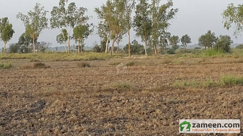 700 Kanal Agricultural Land in Mouza Kotla Ismail Tehsil Taunsa District Dera Ghazi Khan Punjab