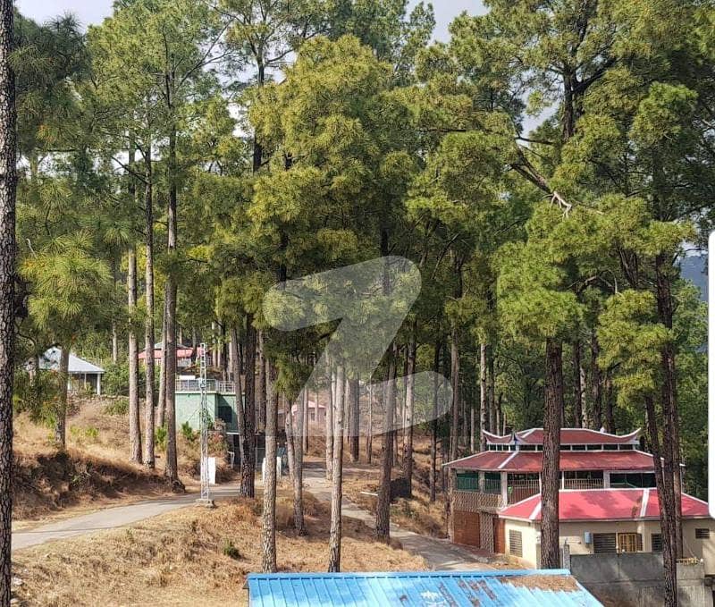 Your Search For Residential Plot In New Murree Ends Here