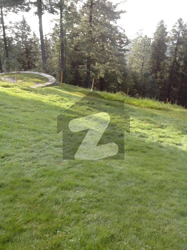 1 Kanal Plot For Sale In Shah Zaman Colony Pma Road Abbottabad