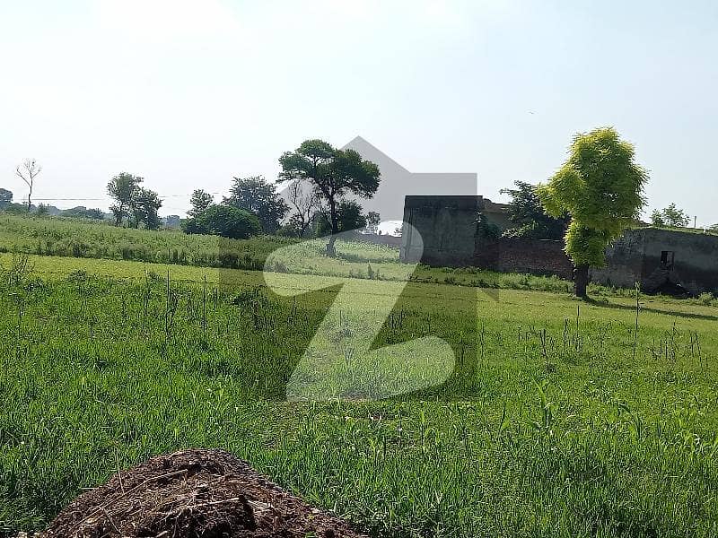 گاگا روڈ لاہور میں 2 کنال زرعی زمین 44 لاکھ میں برائے فروخت۔