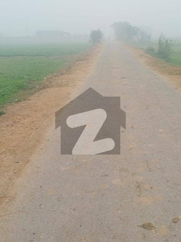 GOOD LOCATION 8 KANAL AGRI LAND AVAILABLE FOR SALE IN GREEN COURT NEAR TO FEROZPUR ROAD