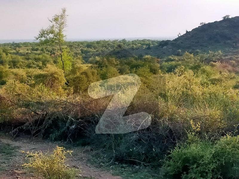 Land For Sale Along Attock Basal Road Near Thatta Village Attock Road