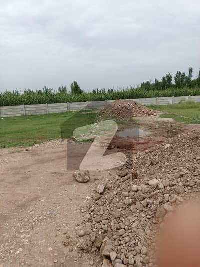 Plot For Sale In Ghazi Baba Colony