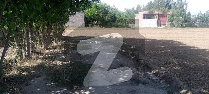 6 Kanal Agriculture Land For Sale On Ring Road Mardan
