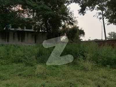 Affordable Farm House Available For rent In Main Canal Bank Road