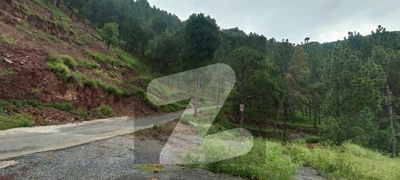 39 Marla Plot Available For Sale In Abbott Heights Abbottabad