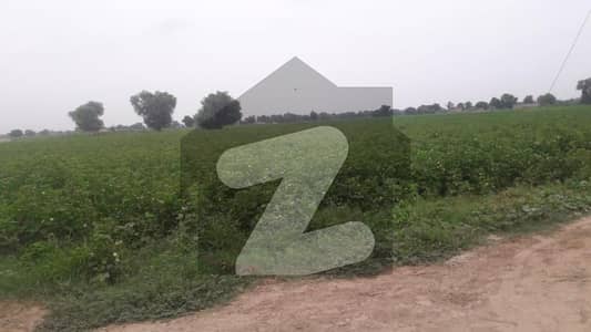 2.5 Murabba (60 Acre) Agricultural Land For Sale In Chak 21 Dnb Bahawalpur Nh5
