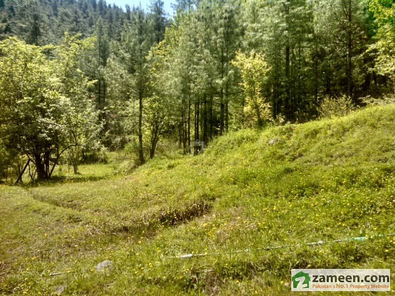 1 Kanal Plot For Sale 40 Lac
