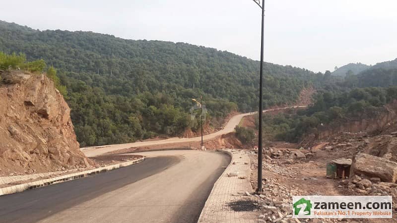 Commoners Gold Valley - 5 Days Left - Limited Plot Commoners Gold Valley - 5 Days Left - Limited Plot